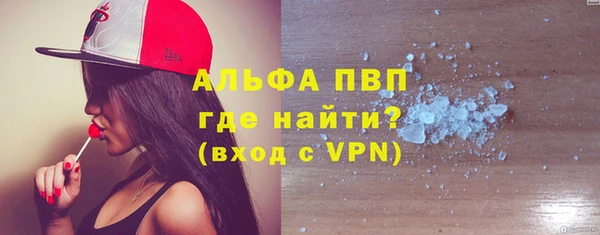 PSILOCYBIN Горняк