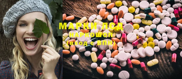 PSILOCYBIN Горняк