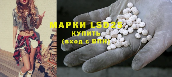 PSILOCYBIN Горняк